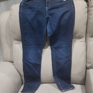 American Eagle Outfitters Navy Women's Skinny Jeans